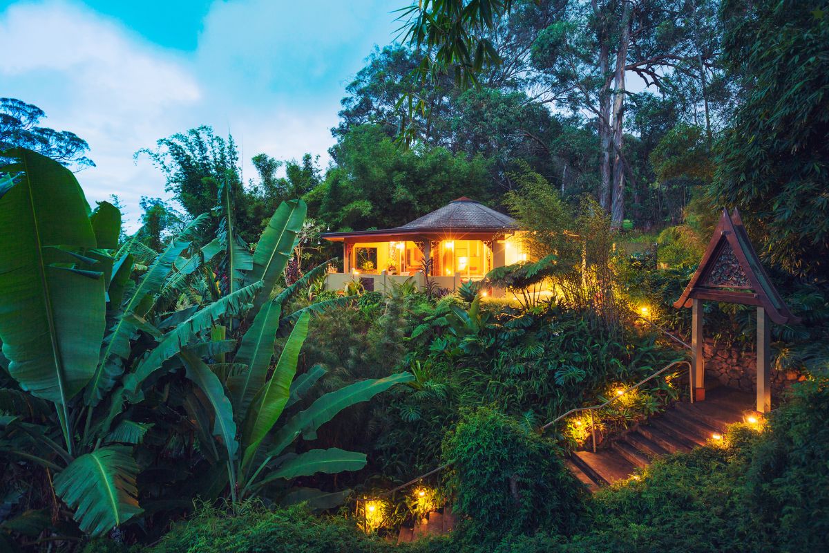Choose Native Hawaiian & Drought-Tolerant Plants