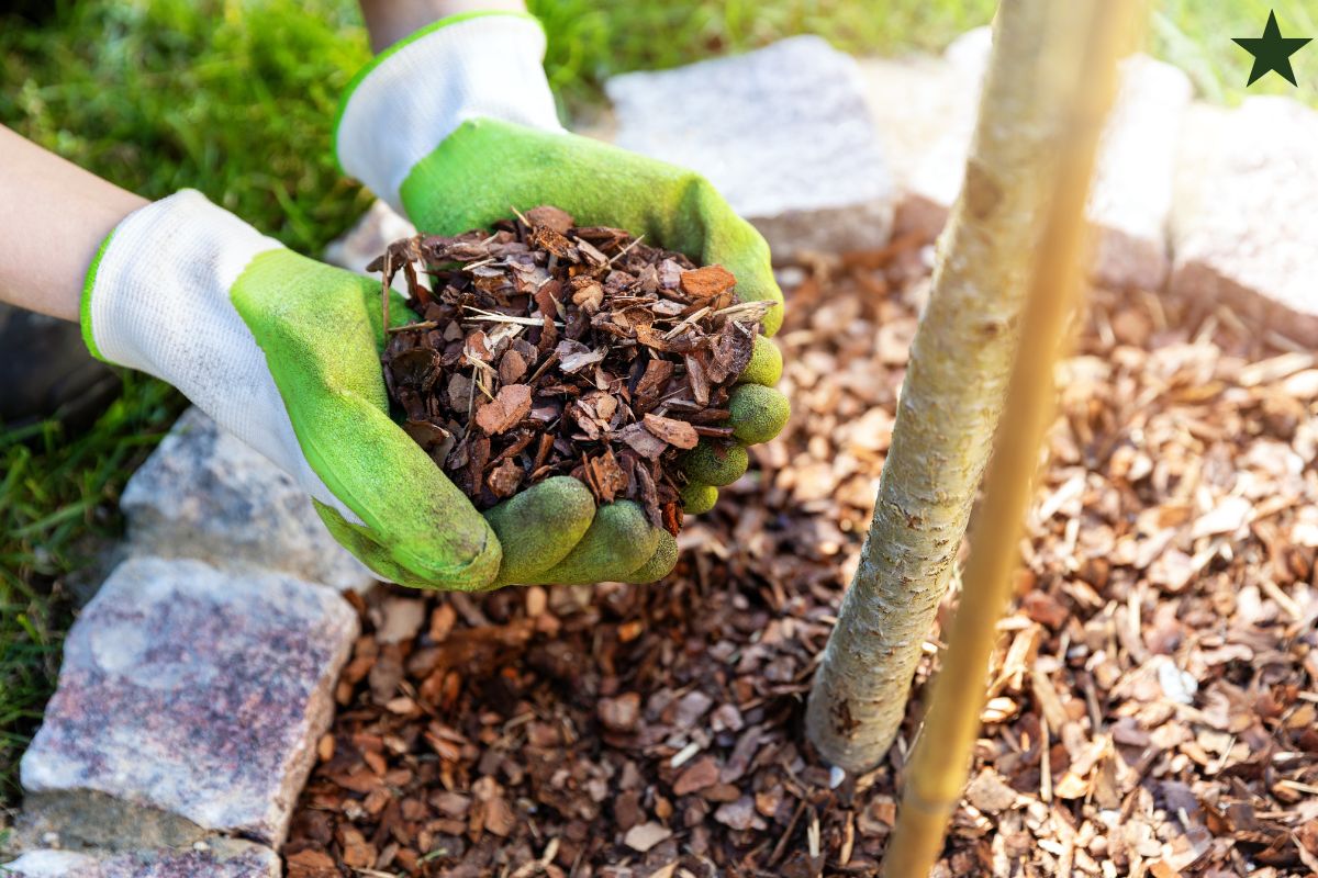 Mulch to Retain Moisture & Prevent Weeds