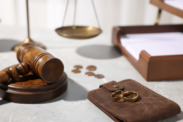 Financial Basics After Divorce: Understanding Child Support, Alimony & Property Division in Hawaiʻi